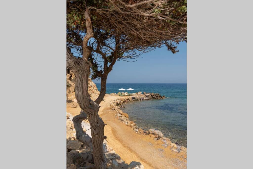 Вилла Ktima Sfakia Кефалос Экстерьер фото