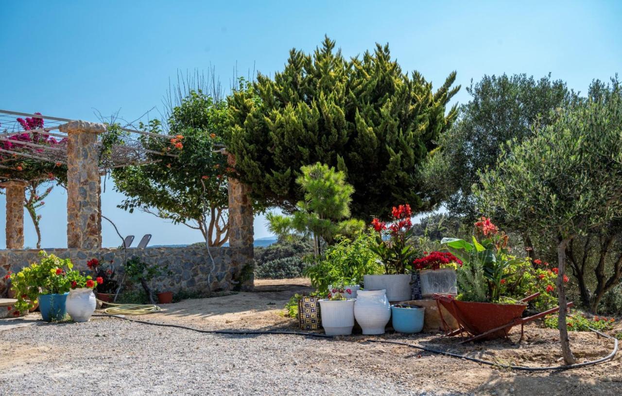 Вилла Ktima Sfakia Кефалос Экстерьер фото