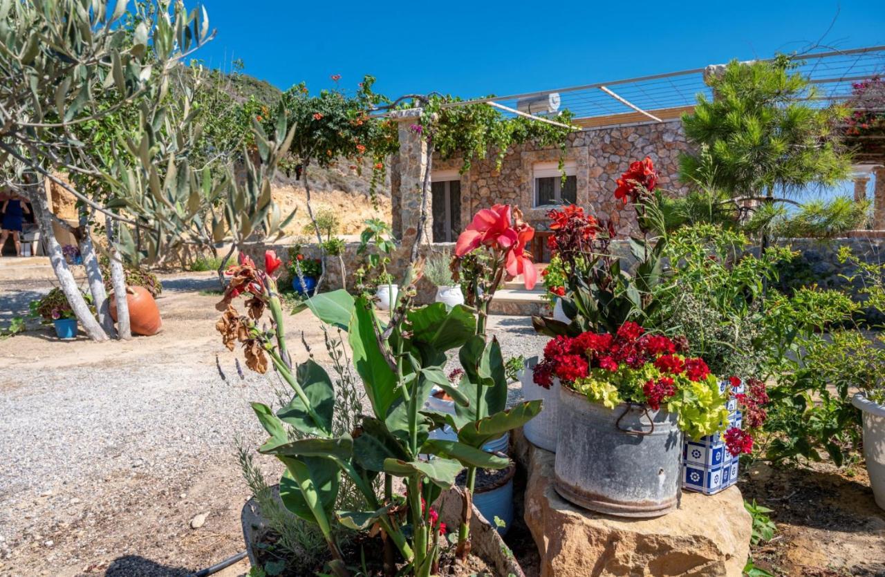 Вилла Ktima Sfakia Кефалос Экстерьер фото